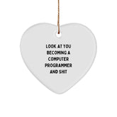 Funny Computer Programmer Gifts from Friends - Heart Ornament for Computer Programmer Men or Women - Christmas Unique Gifts for Him or Her - Image 1